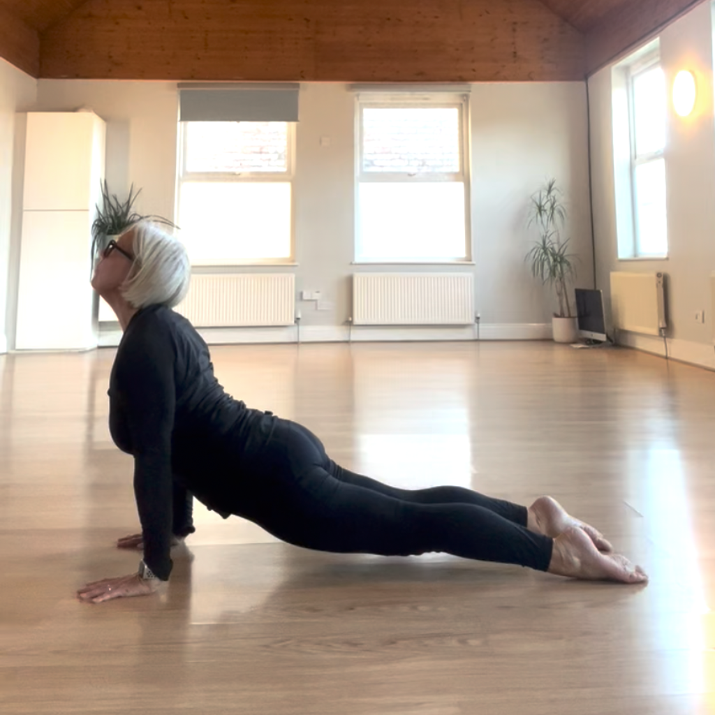 updog_sq frosty view of Sale